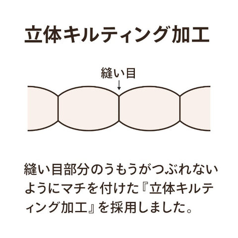 UMO KOBO 合い掛け羽毛布団「生毛ふとん」 PR310-A [シングル(150×210cm) /春・秋用 /ポーランド産ホワイトグースダウン95％ /日本製]
