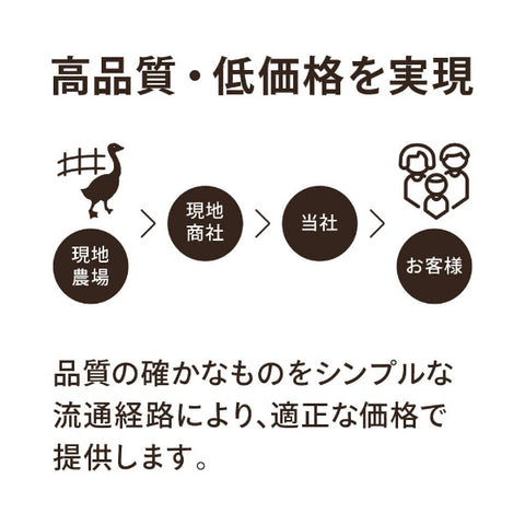 UMO KOBO 肌掛け羽毛布団「生毛ふとん」 PR410-B2 [ワイドシングルロング(170×230cm) /夏用 /ポーランド産ホワイトグースダウン95％ /日本製]