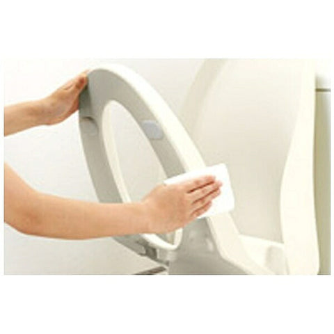 Inax Heated Toilet Seat RG Series Off-White CW-RG2 [Hot Water Storage Type] [CWRG2]