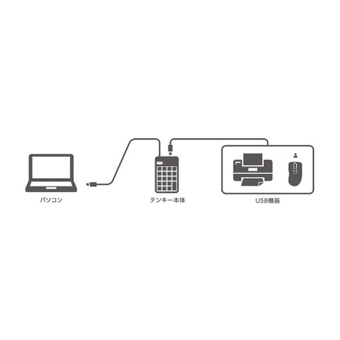 エレコム テンキー ブラック TK-TCM014 [有線 /USB][TKTCM014BK]