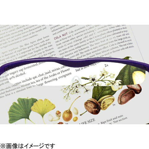 Hazuki Company Hazuki Hazuki 放大鏡冷色鏡片 1.32x 棕色 [rftad2020]