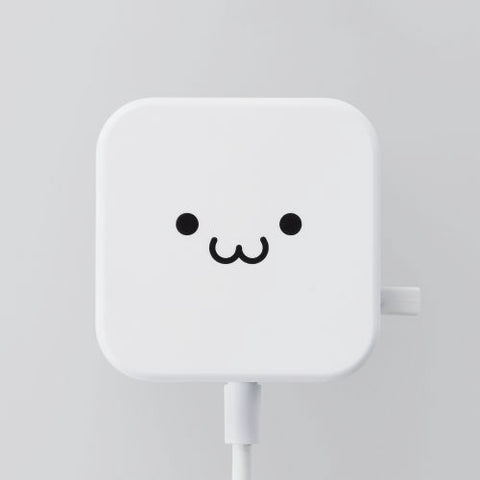智能手機和平板電腦的Elecom交流充電器