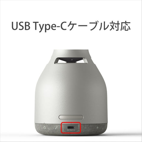 索尼玻璃音响扬声器 LSPX-S3 [兼容蓝牙]