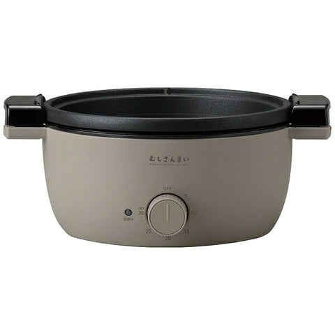 APIX AMZ-450GY Electric steamer Steamer Mushizanmai