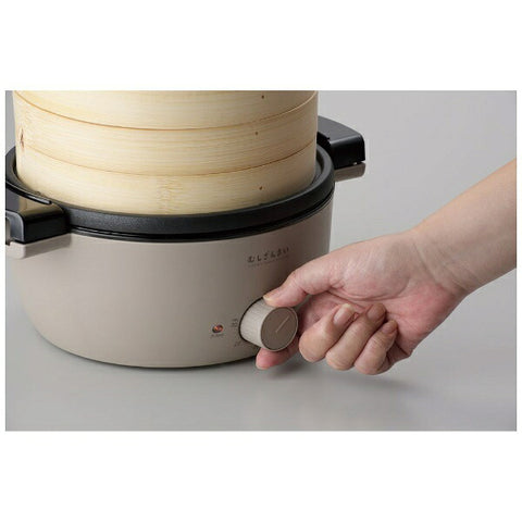 APIX AMZ-450GY Electric steamer Steamer Mushizanmai