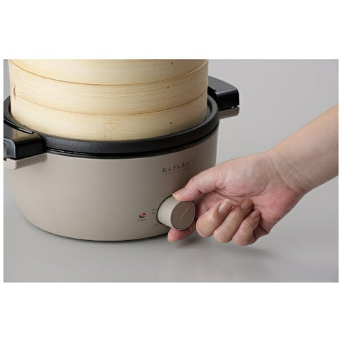 APIX AMZ-450GY Electric steamer Steamer Mushizanmai