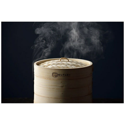 APIX AMZ-450GY Electric steamer Steamer Mushizanmai