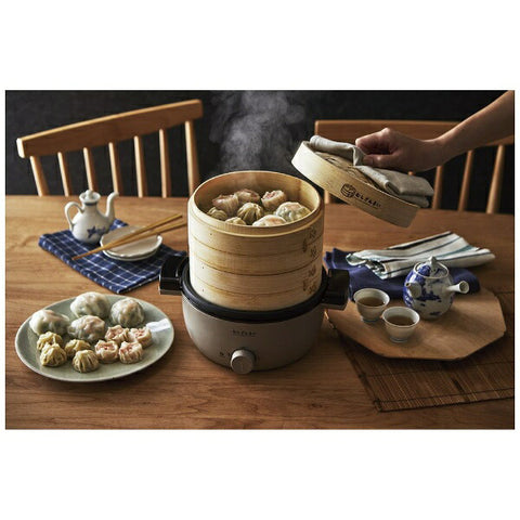 APIX AMZ-450GY Electric steamer Steamer Mushizanmai