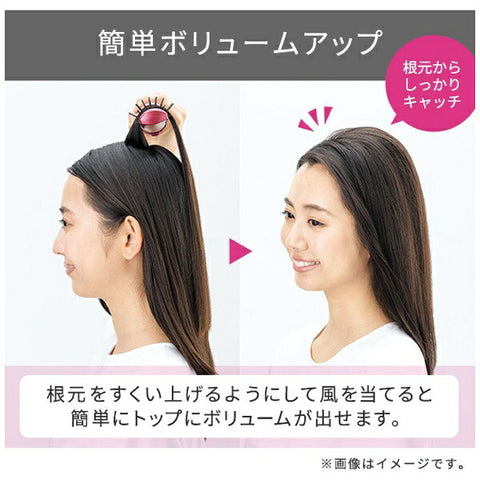 テスコム マイナスイオンカールドライヤー【天然ツバキオイル配合豚毛ブローブラシ/ロールブラシ付属】 ブロンズ TC530A-N