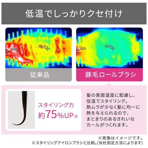 テスコム マイナスイオンカールドライヤー【天然ツバキオイル配合豚毛ブローブラシ/ロールブラシ付属】 ブロンズ TC530A-N