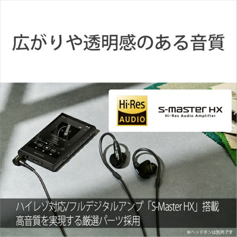 Sony Walkman Walkman 2023 모델 Black NW-A306 BC