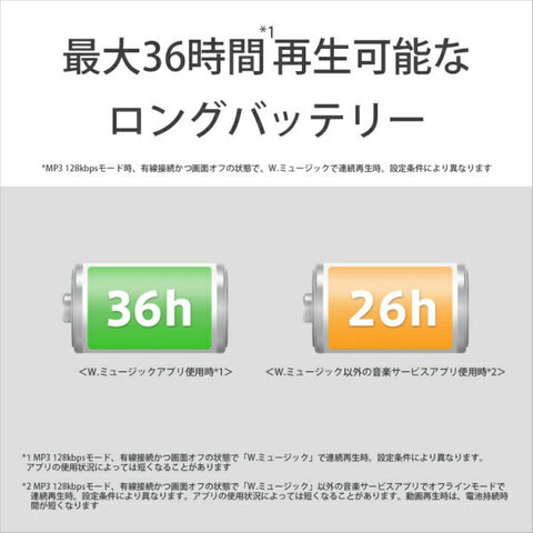 ソニー ウォークマンWALKMAN2023年モデル ブラック NW-A306 BC [ハイレゾ対応 /32GB]