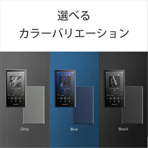 Sony Walkman Walkman 2023 모델 Black NW-A306 BC