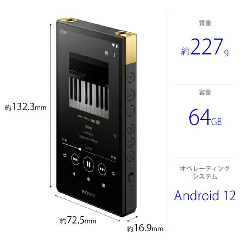 Sony Walkman Walkman 2023 모델 Black NW-ZX707 C [고해상도 호환 / 64GB]