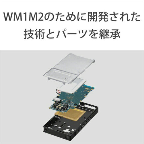 Sony Walkman Walkman 2023 모델 Black NW-ZX707 C [고해상도 호환 / 64GB]