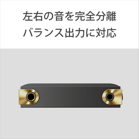 Sony Walkman Walkman 2023 모델 Black NW-ZX707 C [고해상도 호환 / 64GB]
