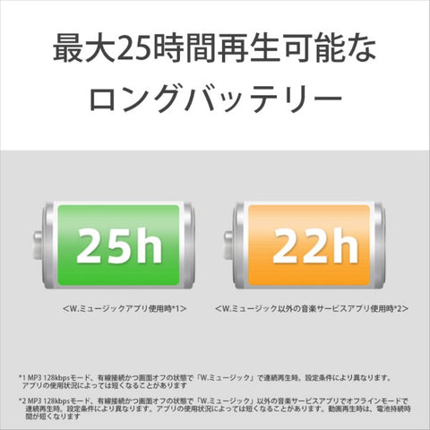 Sony Walkman Walkman 2023 모델 Black NW-ZX707 C [고해상도 호환 / 64GB]