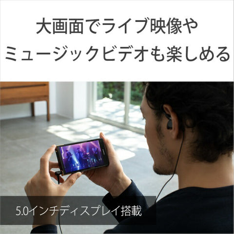 Sony Walkman Walkman 2023 모델 Black NW-ZX707 C [고해상도 호환 / 64GB]