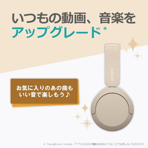 ソニー ブルートゥースヘッドホン ブラック WH-CH520 BZ [Bluetooth対応]