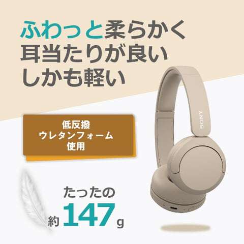 소니 SONY 블루투스 헤드폰 블루 WH-CH520 LZ [Bluetooth]