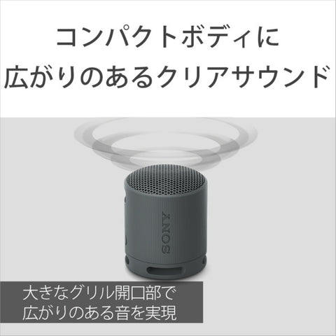 ソニー ブルートゥーススピーカー ブラック SRS-XB100 BC [防水 /Bluetooth対応]