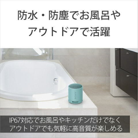 Sony藍牙音箱黑色 SRS-XB100 BC [防水/相容藍牙]