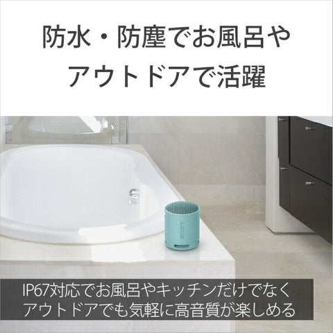 ソニー ブルートゥーススピーカー ブラック SRS-XB100 BC [防水 /Bluetooth対応]