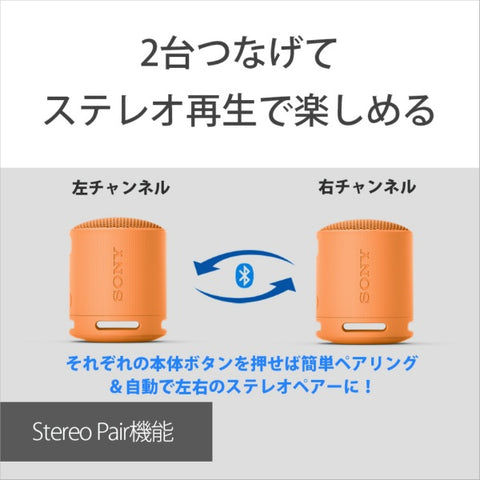 ソニー ブルートゥーススピーカー ブラック SRS-XB100 BC [防水 /Bluetooth対応]