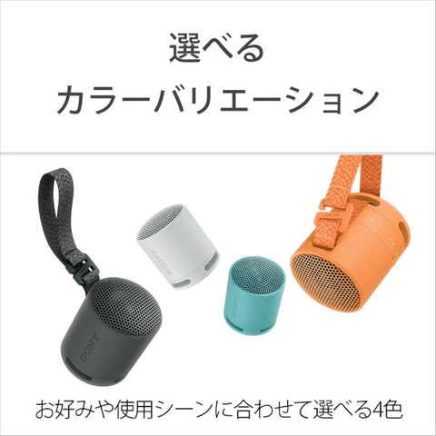 ソニー ブルートゥーススピーカー ブラック SRS-XB100 BC [防水 /Bluetooth対応]