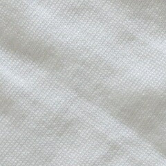 Sunayama Socks 少し薄手の短め丈５本指アンダーソックスS オフホワイト