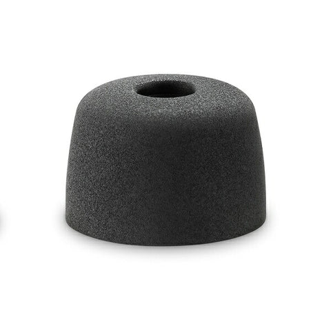 ソニー WF-1000XM5用 イヤーピース　L 　左右分1ペア EP-NI1010LQ