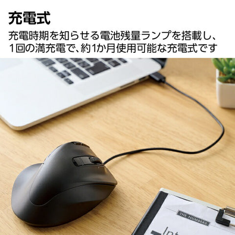 エレコム マウス EX-G PRO XLサイズ 抗菌(Chrome/Android/iPadOS/iOS/Mac/Windows11対応) ブラック M-XGXL50MBSKBK [BlueLED /無線(ワイヤレス) /8ボタン /Bluetooth・USB]