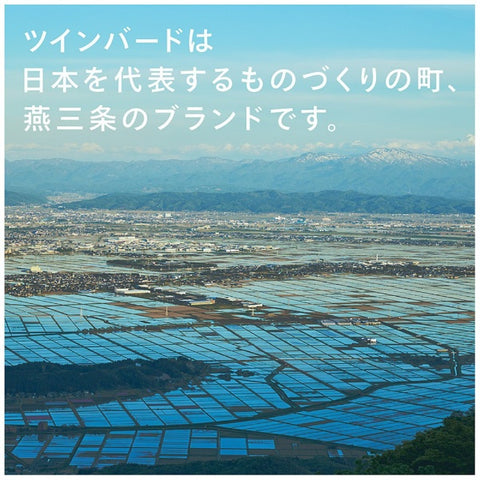 ツインバード オーブントースター 匠ブランジェトースター TS-D486B