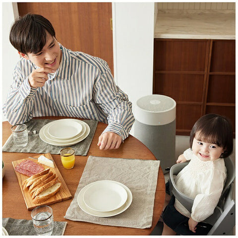 Blue Air Air Purifier Blue Max 3450i [Applicable tatami area: 48 tatami/PM2.5 compatible]
