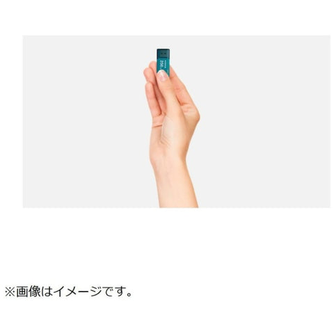 キオクシア USBメモリ TransMemory U301(Mac/Windows11対応) グレー KUC-3A064GH [64GB /USB TypeA /USB3.2 /キャップ式]