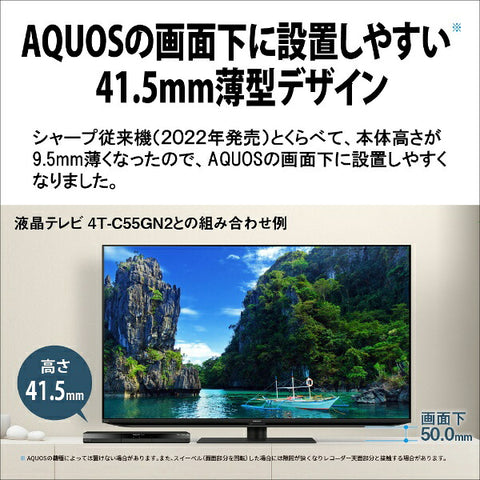 尖锐的蓝光记录器Aquos 2B-C20GT1 [2TB/3程序同时记录]