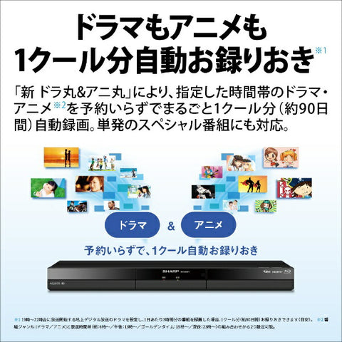 尖銳的藍光記錄器Aquos 2B-C20GW1 [2TB/2程序同時]