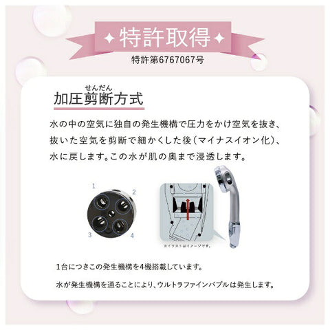Vinasis Hibino Rich Moistic Shower Champagne Gold HSW-9000(CG) [Microbubble function]