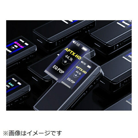 FIO Portable Headphone Amplifier Black FIO-BTR13-B [High-Res/DAC Function Compatible]