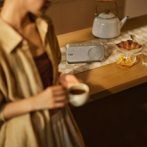 ボーズ ブルートゥーススピーカー Bose SoundLink LIGHT SILVER SLinkHomeBTSPSLV [Bluetooth対応]
