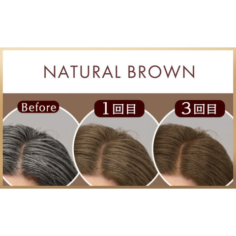 CIELO Coloring Treatment For overall coloring Natural Brown　×５