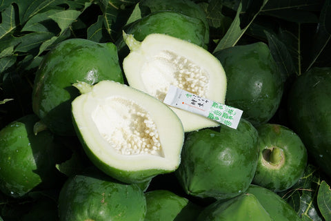Green papaya Enzyme 3 boxes  with Free gift Eco-friendly bag
