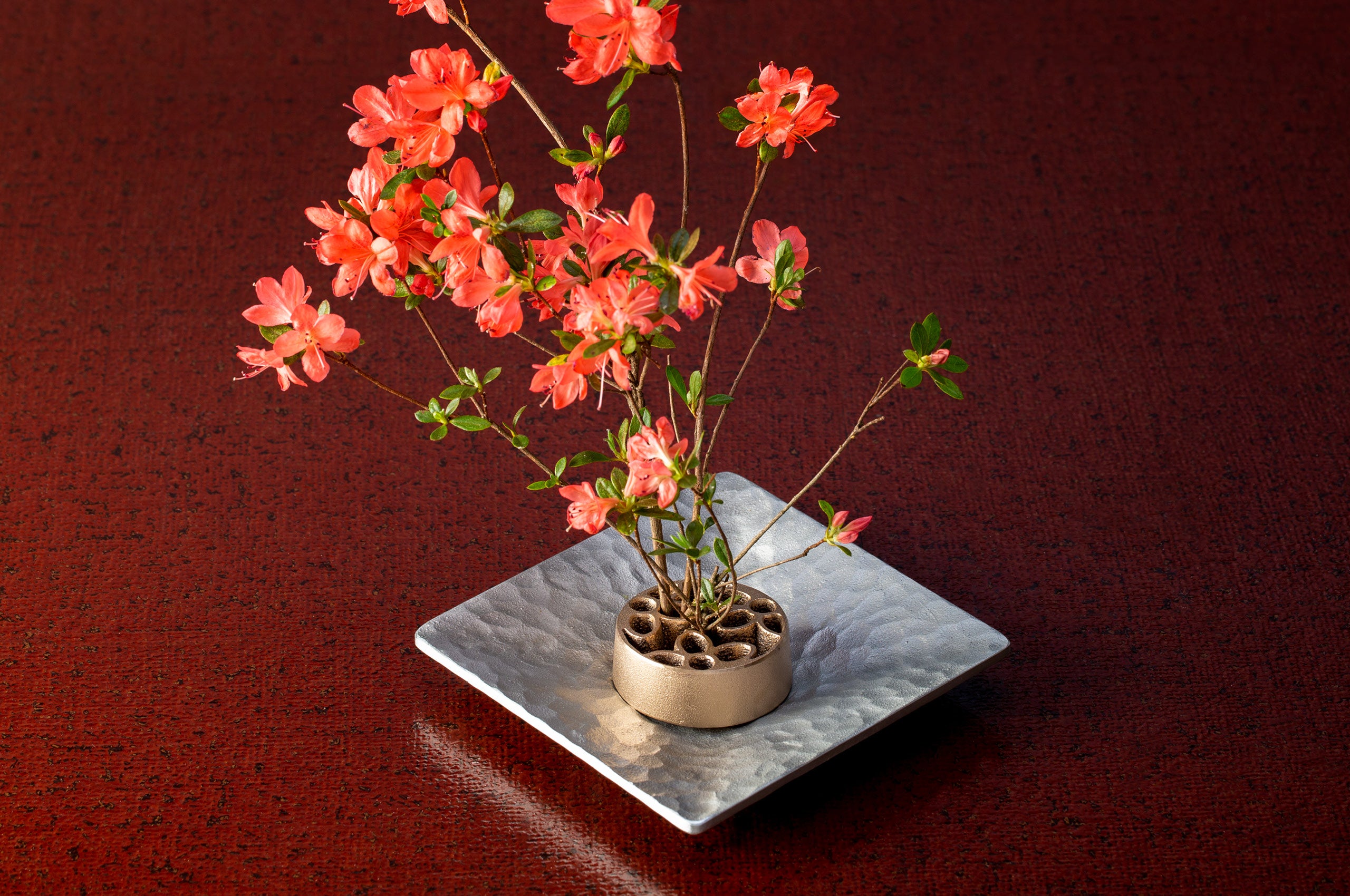 KAMAHACHI Kenzan Garden L size – TaxFreeOnline.jp