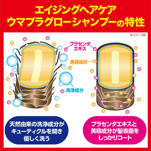 ウマプラセンタグロー　シャンプー　エコボトルセット