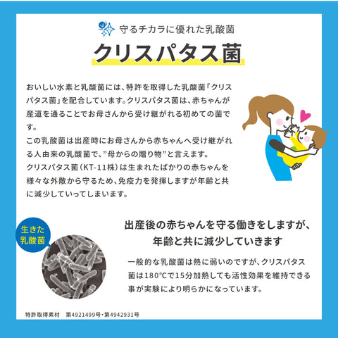 おいしい水素と乳酸菌