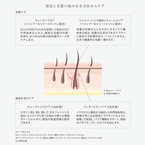 헤드 스파 샴푸