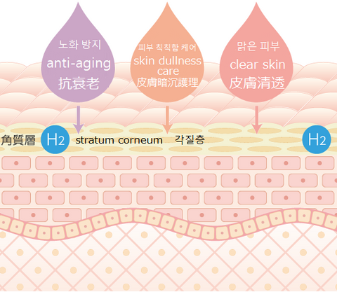 LITA SKIN REVOLUTION GEL
