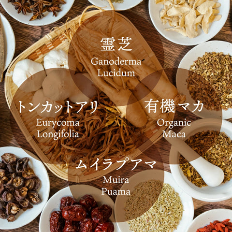 龍仙亀鹿参