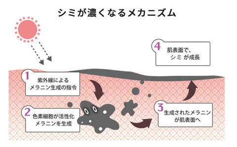 ファイナルホワイト スターティングエッセンス 50g　＜導入美容液＞