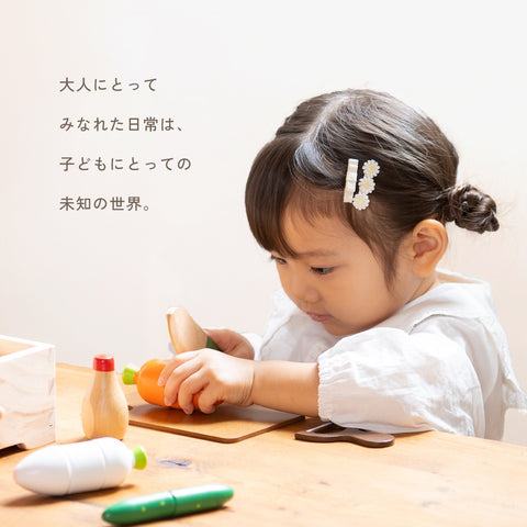 はじめてのおままごと サラダセット(木箱入り)